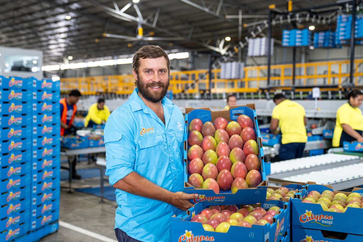 Growers_LR_Ontario Farm_Calypso Mango_Ray Courtice_13