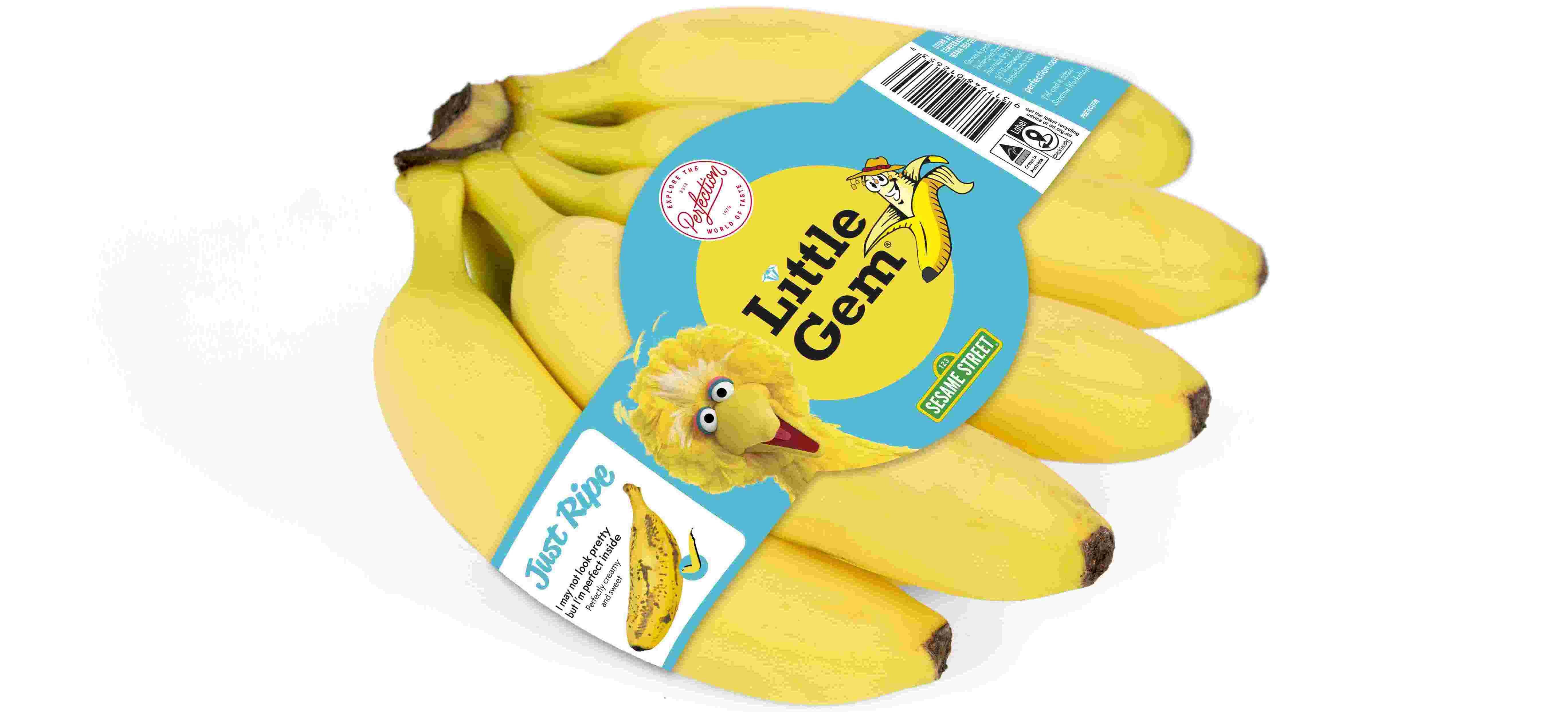 Little Gem Banana_Label_Big Bird-1