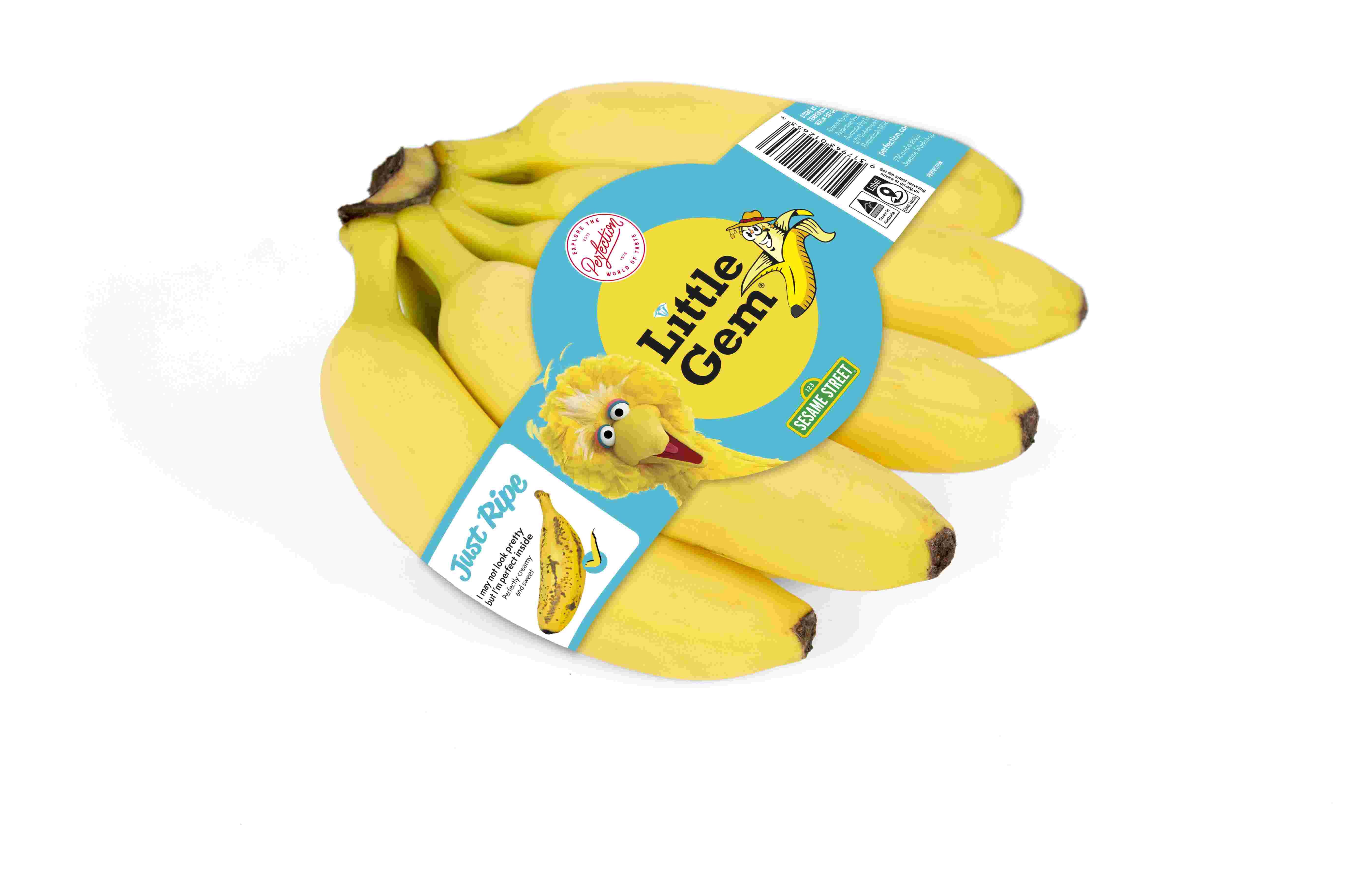 Little Gem Banana_Label_Big Bird