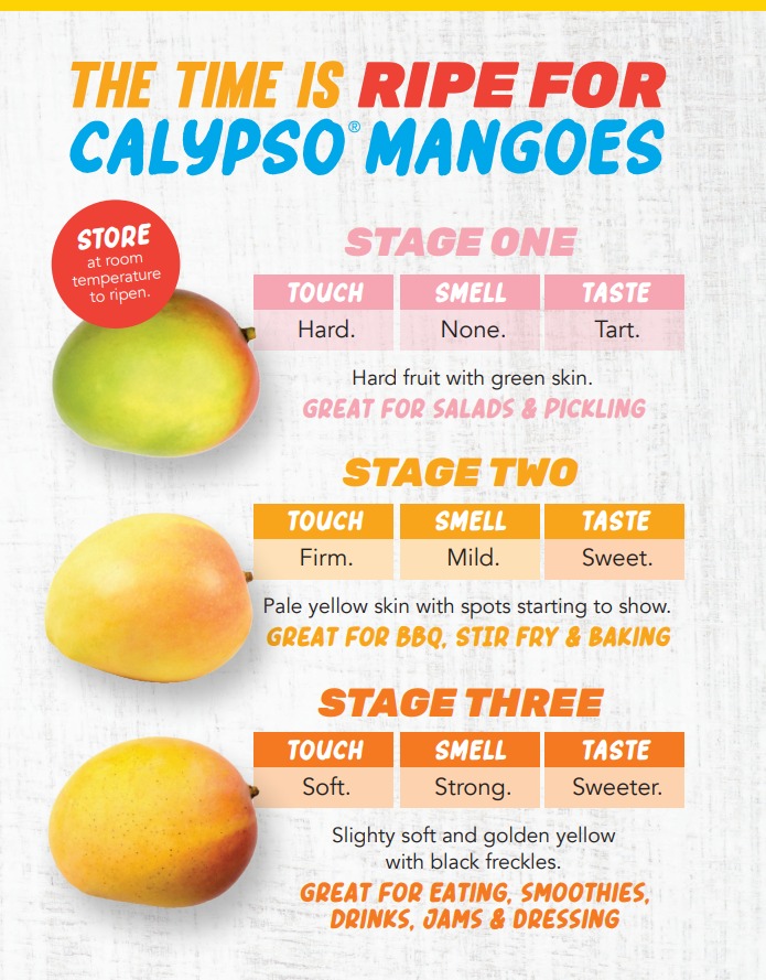 How to know when your Calypso® Mango is ripe? | Perfection Fresh Australia