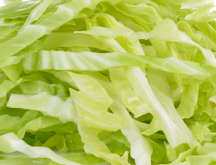 shredded lettuce cabbage_envato