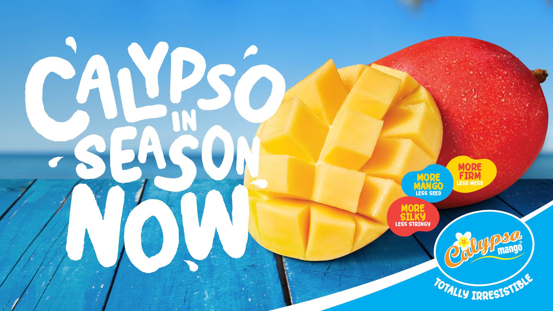 Calypso Mangoes in season now!