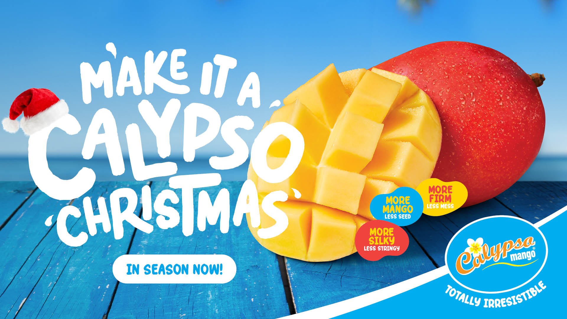 PF0176 - Calypso 24-25 Season_Web_Banner R23