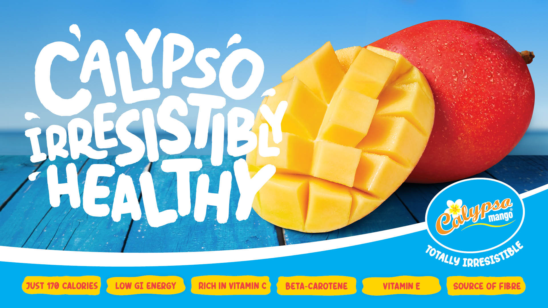 PF0176 - Calypso 24-25 Season_Web_Banner R24