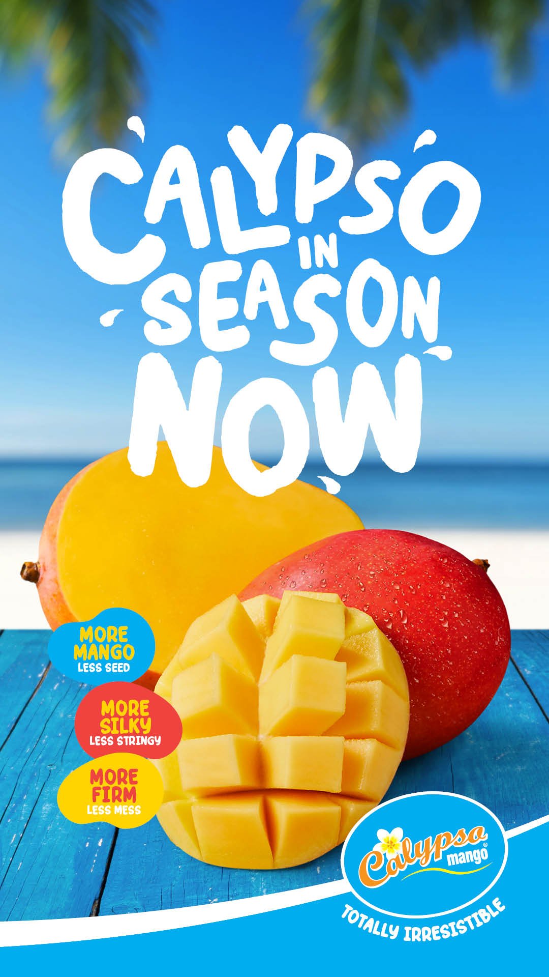 Calypso Mangoes in season now!