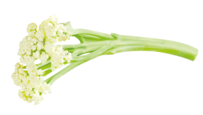 Cauli-Blossom