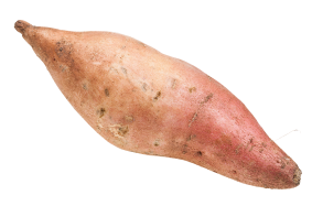 Sweet Potato