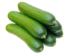 Cucumber