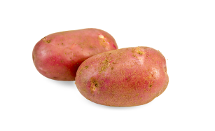 Potato