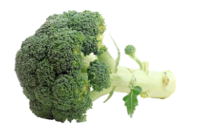 Broccoli