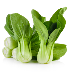 Bok Choy