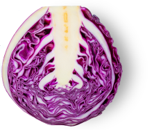 Cabbage