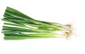 Spring Onions